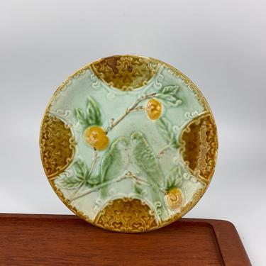 Antique French Majolica plate SALINS: 2 parakeets perched on an orange tree 