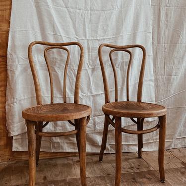 Pair of Antique Bentwood Chairs, Rare Style, Brass Plated Numbers on Seat 