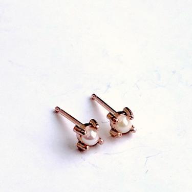 14k Rose Pink Gold 3mm Pearl Prong Studs 