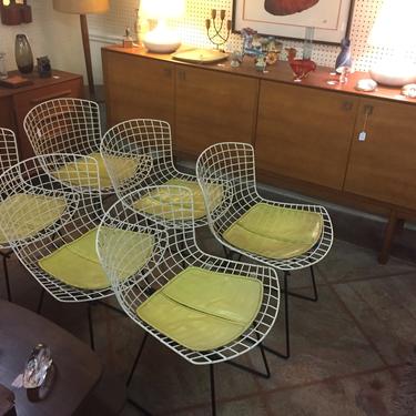 Harry Bertoia - Set Six (6) Dining Chairs w/ Original Knoll Pads