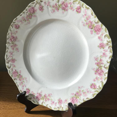 John Maddock and Sons Royal Vitreous Flowered Plate 