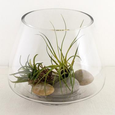 Large Footed Terrarium with Slanted Opening, Thick Clear Glass Planter Bowl, Succulent Planter, Air Plant Holder Container 