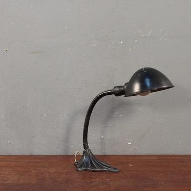 Art Nouveau Gooseneck Desk Lamp
