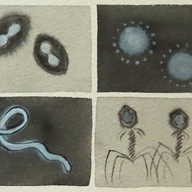 Black and White Viruses - original watercolor painting - microbiology art 
