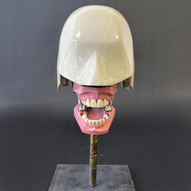 Vintage Aluminum Child's Dental Phantom with Stand