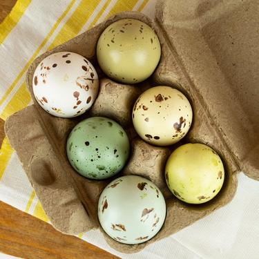 Dyed and Speckled Eggs - 1/2 Dozen