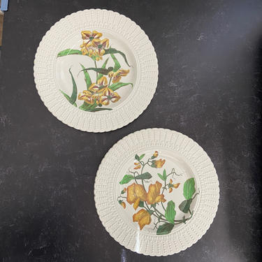 Vintage Royal Cauldon Floral Plates - set of 2 decorative ironstone plates with yellow flowers 