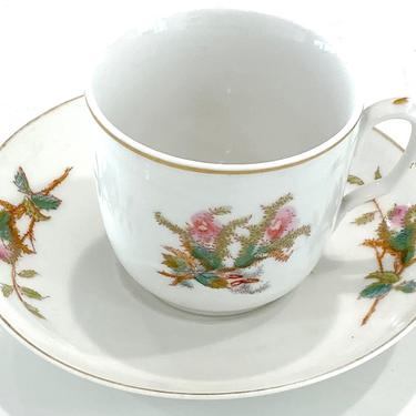 1880s Antique Haviland Limoges H&Co Pink Moss Rose Cup and Saucer 