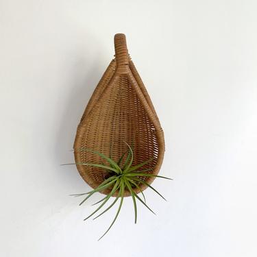 Teardrop Shaped Wicker Basket with Handle | Vintage Woven Wicker Basket for Table or Wall | Air Plant Wall Holder 