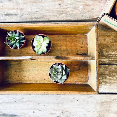 Wooden Box Caddy | Wood Caddy Box | Vintage Tool Box | Farmhouse Table Decor | Rustic Centerpiece | Planter | Wood Tote/Tray | Wood Box 