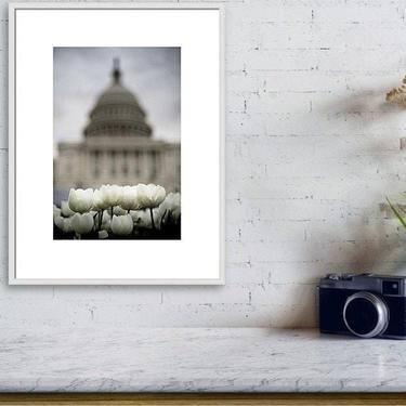 Spring Flower Print, Washington DC Photo, Capitol Dome Wall Art, Washington DC Print, Spring Cityscape Photo, Tulip Print, Travel Photo Art 