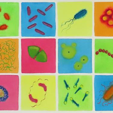 Microbial Rainbow - original watercolor painting of bacteria - microbiology art 