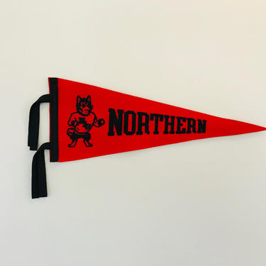 Vintage Northern Illinois University Small Pennant 