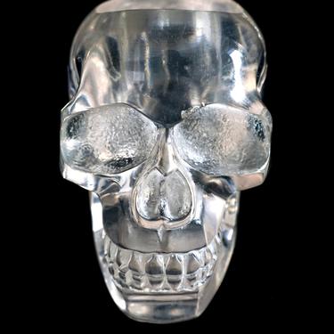 Mid-Century Modernist Lucite Skull Sculpture | Planter || Clear Transparent Human Skull Oddities Figurine Halloween Day of the Dead Decor 