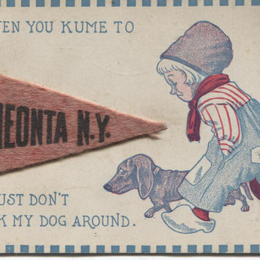 Oneonta, New York Felt Penant Vintage Postcard 