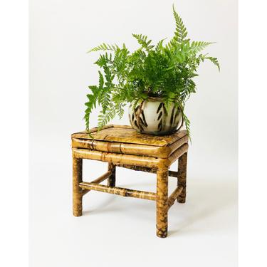 Vintage Tortoiseshell Bamboo Plant Stand 