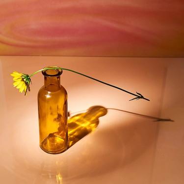 Glass Bottle Bud Vase - Amber