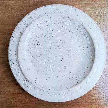 Vintage Fabrik Dark Speckled Ptarmigan | Salad Plate(s) | Jim McBride | Seattle Pottery 