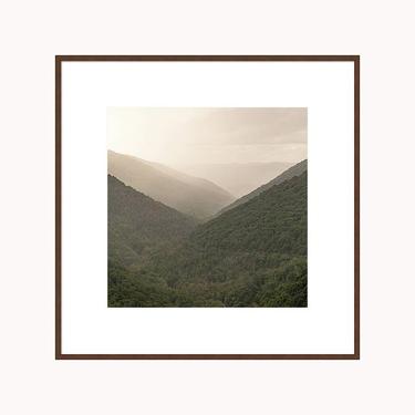 West Virginia Print, Nature Photography, Woodland Print, Forest Photography, West Virginia Mountain Print, Forest Print, Sunrise Photo Art 