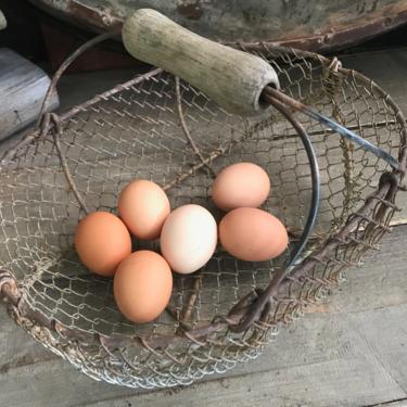 French Saladier, Wire Egg Basket, Egg Collection Harvest Basket, French Farmhouse, Rustic 