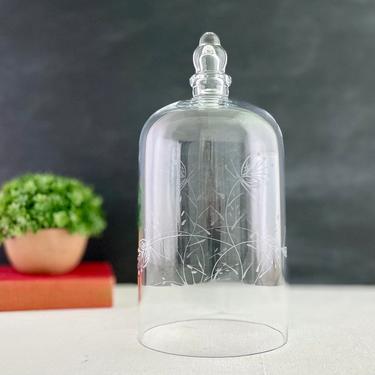 Etched Glass Dome Cloche with Knob, Tall Terrarium Dome 