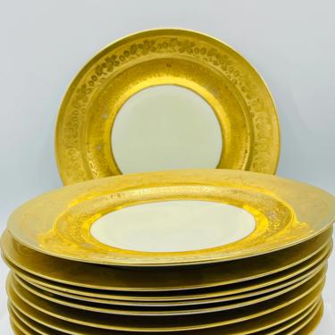 Antique (11) Porcelain 22 K Gold Encrusted Gilt Border Dinner Plate Plates Set of 11- Chip Free 