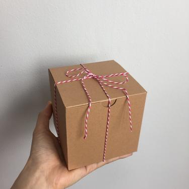 Gift Packaging for Succulent Planters 