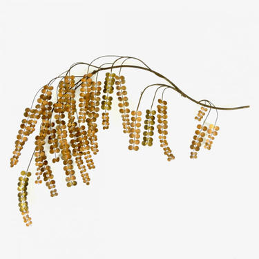 Curtis Jere' Willow Branch Wall Sculpture