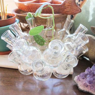Vintage Glass Propagation Station 18 Specimens - 70s Plant Cutting Tube Bud Vase - Plant Mom Indoor Gardener House Warming Gift 