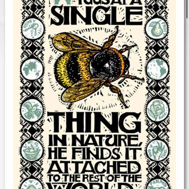A Single Thing Giclee Print | Honeybee Art | John Muir Quote | Bee Picture | Kitchen Artwork 