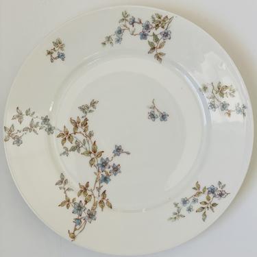 Haviland Limoges Porcelain Luncheon Plates, Set of 10