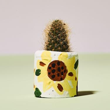My Sunshine Mini Succulent Planter