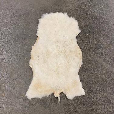 Vintage Fur Hyde 1990s Retro Size 37x22 Genuine + White Fur + Artic Fox or Other Animal + Accent Rug + Home and Floor Decor 