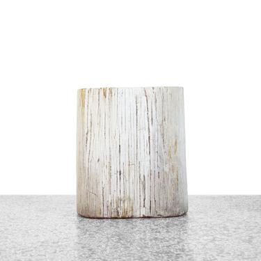 Petrified Wood Stool or Side Table 