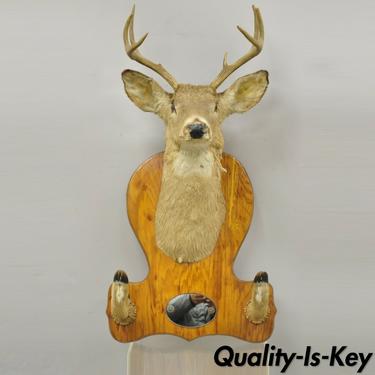 Deer Head Taxidermy Mount 8 Point Pine Board with Gun Rack and Hall Mirror