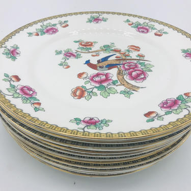 Antique set of (10) F. Winkle &amp; Co. England C1900 PHEASANT  Pattern 10&amp;quot; Dinner Plates 10&amp;quot;  Antique 1908 -1925. Semi - Porcelain.- excellent 