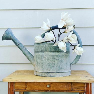 Beautiful rare find vintage French zinc watering can with hose 