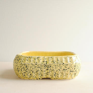 Vintage Yellow Ceramic Planter or Bonsai Pot, Mid Century Modern Planter Pot, Bonsai Planter, Yellow and Black Ceramic Bowl 