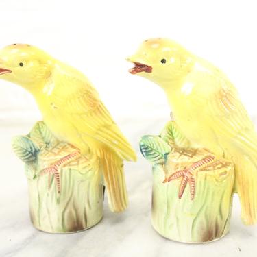 Yellow Birds Porcelain Salt and Pepper Shakers 
