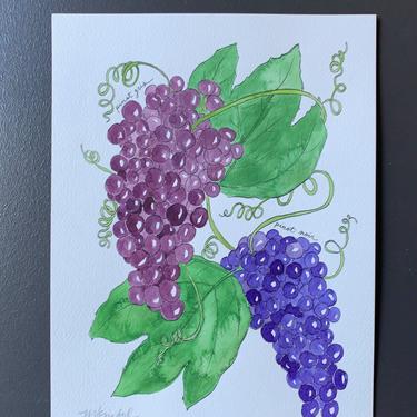 Pinot Noir and Pinot Gris Grapes Original Watercolor Painting