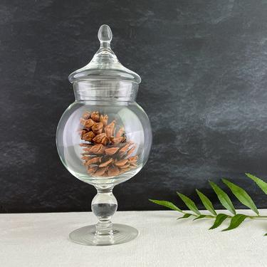 Vintage Pedestal Apothecary Jar, Small Terrarium Lidded Container, Clear Glass Footed Bowl 