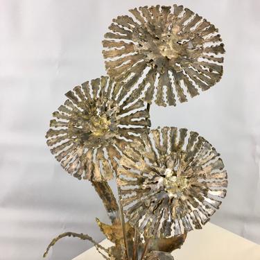 Torch cut brass flowering dandelion 