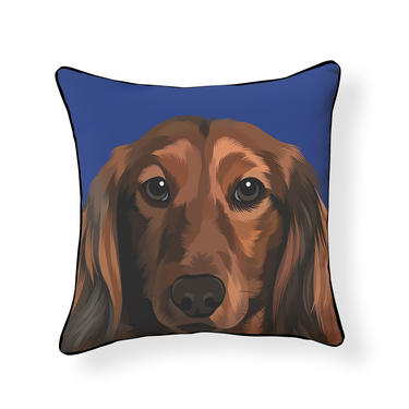 Long Haired Dachshund Pillow