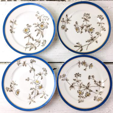 Daisy plates by CFH/GDM Haviland Limoges France - 4 1880s antique side plates 