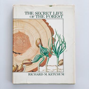 The Secret Life of the Forest Book