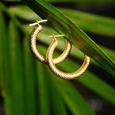 Vintage 14K Yellow Gold Spiral Hoop Earrings, Small 25mm Gold Hollow Tube Hoops, Classy Gold Hoop Earrings, Lightweight 585 Accessory, JCM 
