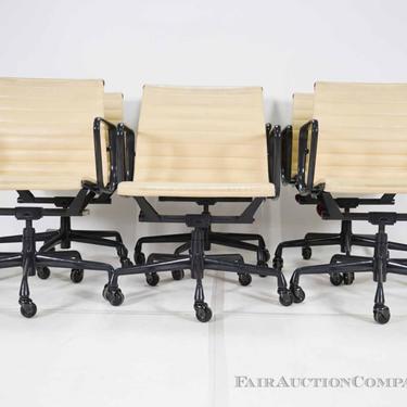 Set of 6 Eames for Herman Miller Management Chairs