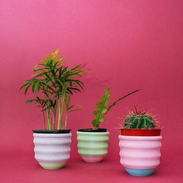 Colorful Small Planter Set - Wiggle Cups 3