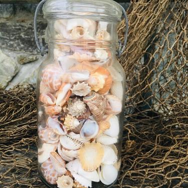 Vintage Jar of Sea Shells