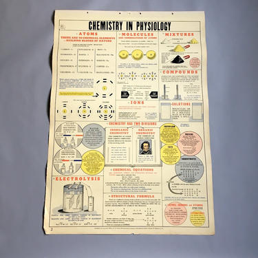 Chemistry in Physiology school health wall chart - W. M. Welch Manufacturing Company - 1946 vintage 